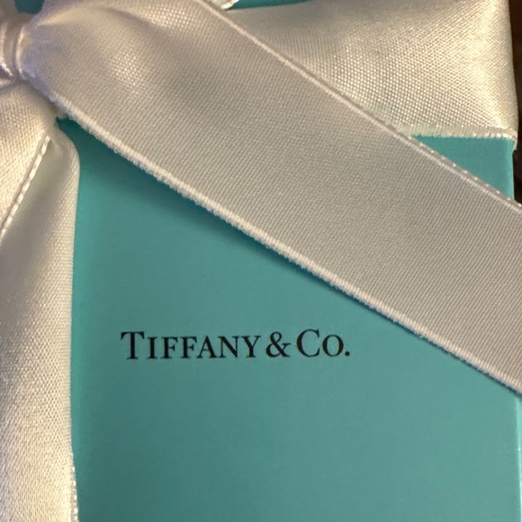 Set Tiffany & Co Silver Polishing Cloth 18x18 Retired, No Longer Made. Rare Gift - Picture 4 of 8